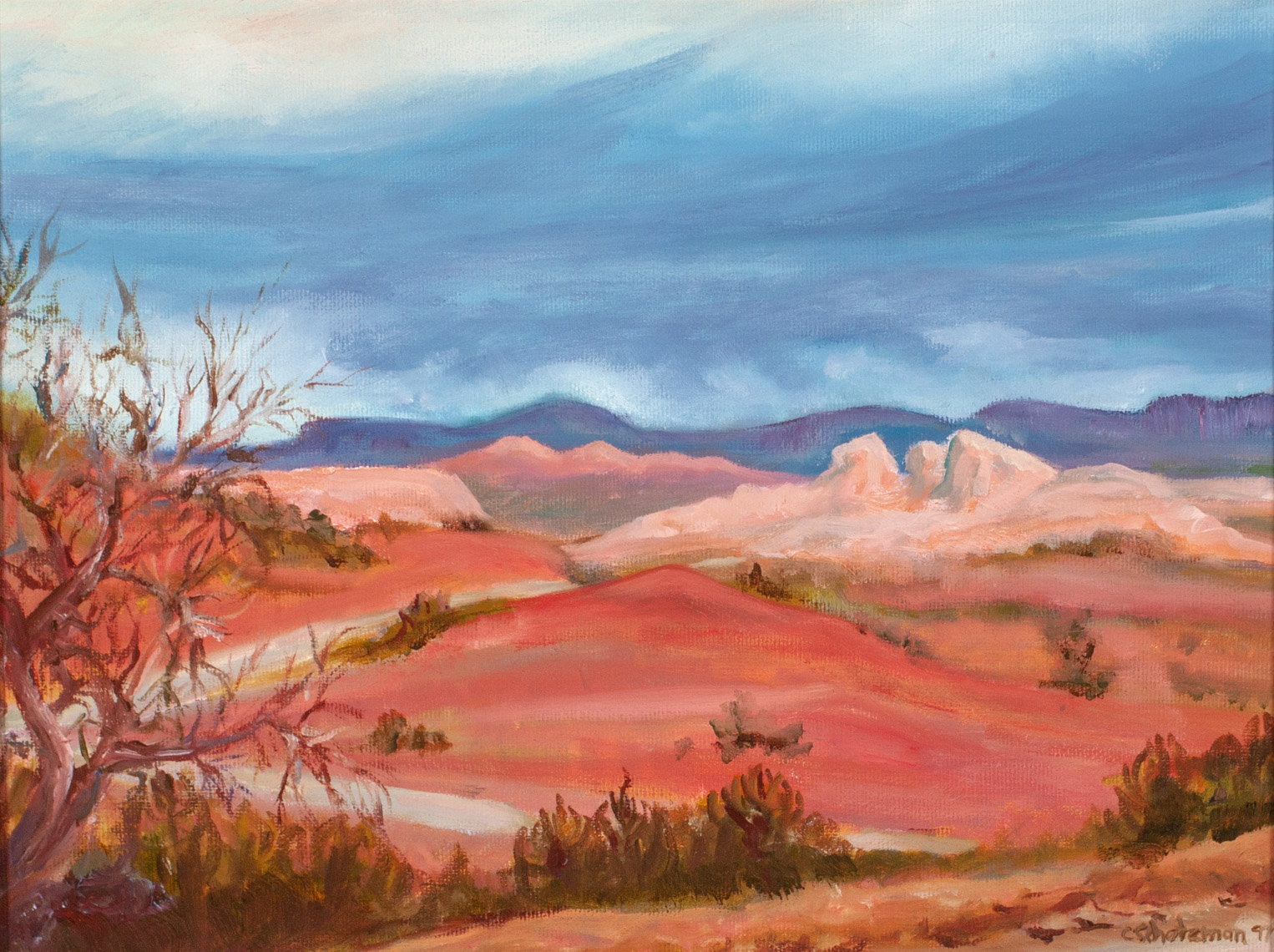 Carolyn Schatzman-Red Hills of Sedona