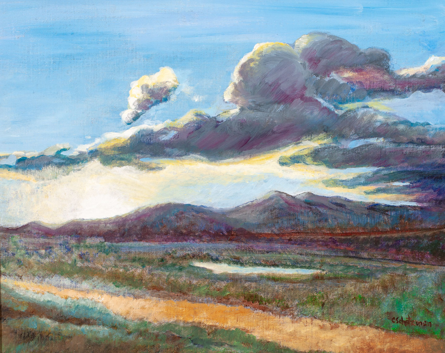 Carolyn Schatzman-Wet Mountains of Colorado