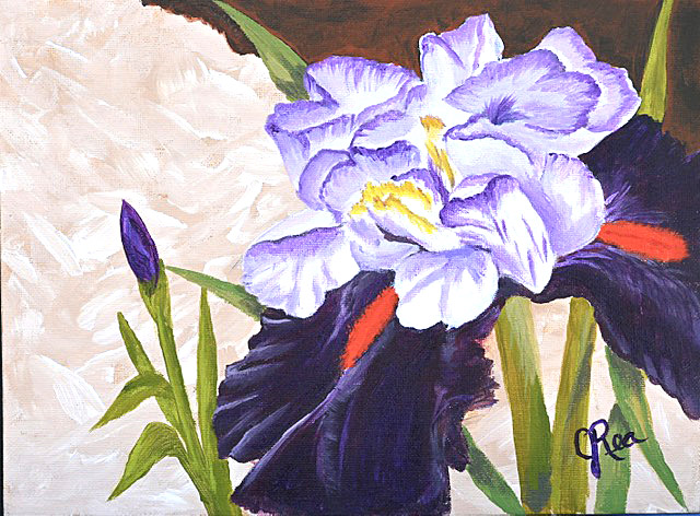 JoanneRea-0990